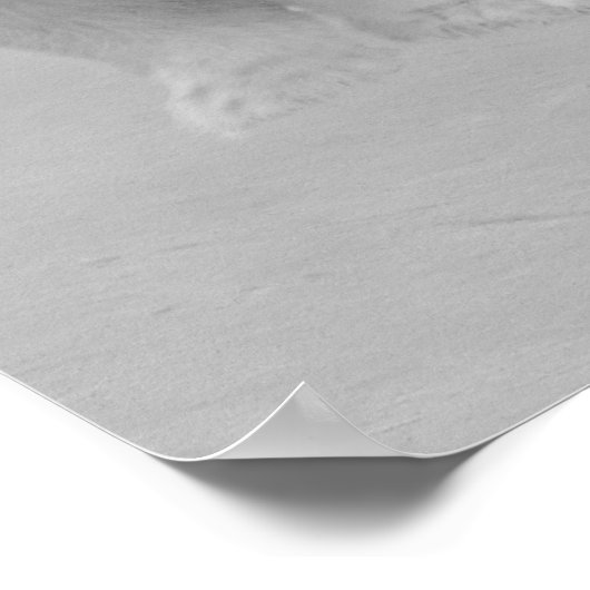 Polaire Beren, cabines en noord-lampen Poster (Hoek)