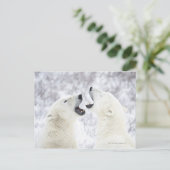 Polaire Beren die in de sneeuw spelen Briefkaart (Staand voorkant)