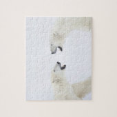 Polaire Beren die op sneeuw staan na het spelen Legpuzzel (Verticaal)