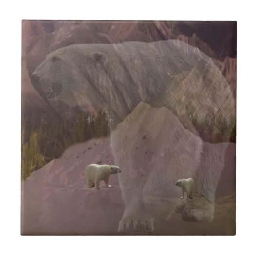 Polaire Beren gebergte, keramische Tegel Tegeltje (Voorkant)