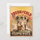 Polaire Beren genieten van Mokken van lagerbier Briefkaart (Voorkant / Achterkant)