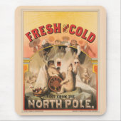 Polaire Beren genieten van Mokken van lagerbier Muismat (Voorkant)