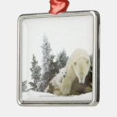 Polaire Beren in het nationaal park Wapusk Metalen Ornament (Links)