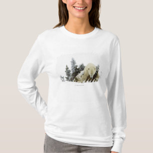Polaire Beren in het nationaal park Wapusk T-shirt