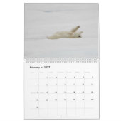 Polaire Beren in het wild Kalender (Feb 2027)