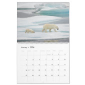 Polaire Beren in het wild Kalender (Jan 2026)