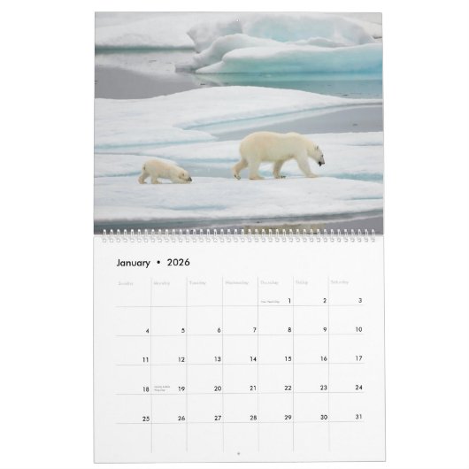 Polaire Beren in het wild Kalender (Jan 2026)