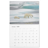 Polaire Beren in het wild Kalender (Jan 2027)