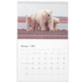 Polaire Beren - kalender van 12 maanden (Feb 2027)