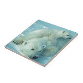 Polaire beren kubus en mam - 2 tegeltje (Zijkant)