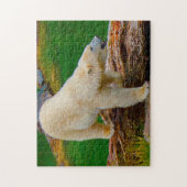 Polaire Beren. Legpuzzel (Verticaal)