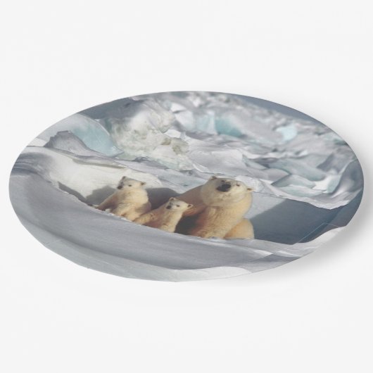 Polaire Beren Moeder poolgebied Borden in het wild Papieren Bordje (Gekanteld)