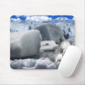 Polaire beren muismat (Met muis)