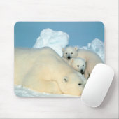 Polaire Beren Muismat (Met muis)