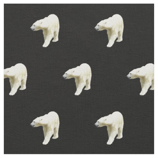 Polaire Beren op zwart Stof (Close Up)