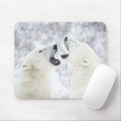 Polaire Beren spelen in de sneeuw. Muismat (Met muis)