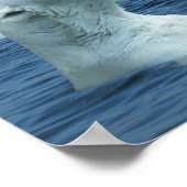 Polaire Beren spelen in het Poster van de Noordeli (Hoek)