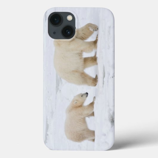 Polaire Beren vrouw en twee cubs 2 Case-Mate iPhone Case (Achterkant)