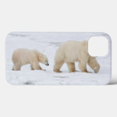 Polaire Beren vrouw en twee cubs 2 Case-Mate iPhone Case (Achterkant (horizontaal))