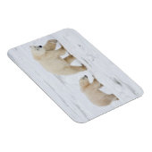 Polaire Beren vrouw en twee cubs 2 Magneet (Rechterzijde)