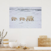 Polaire Beren vrouw en twee cubs 2 Poster (Keuken)