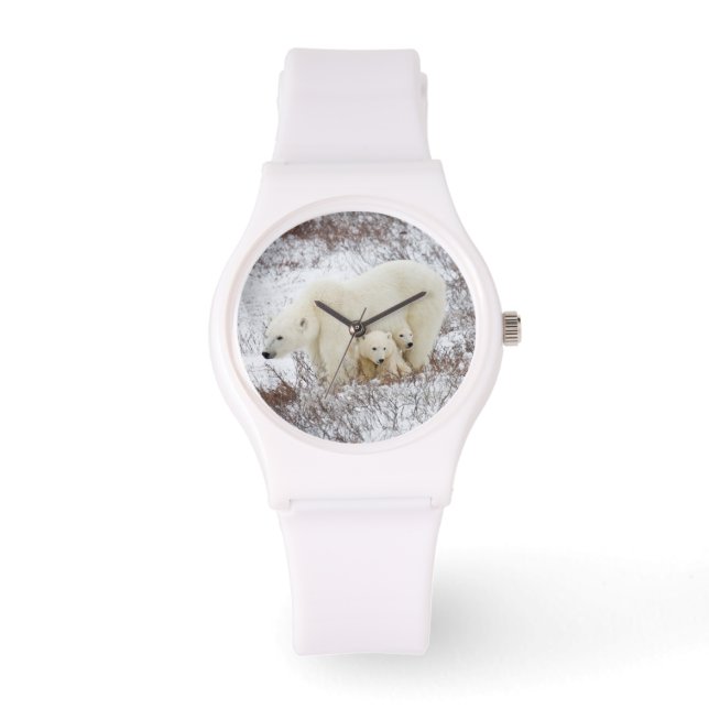 Polaire Beren vrouw en twee cubs Horloge (Voorkant)