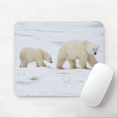 Polaire Beren vrouw en twee cubs Muismat (Met muis)