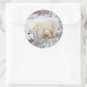 Polaire Beren vrouw en twee cubs Ronde Sticker (Tas)