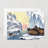 Polaire Beren, walrus en zeehonden Briefkaart (Voorkant / Achterkant)