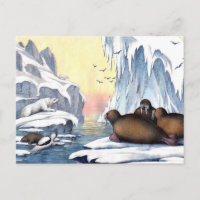 Polaire Beren, walrus en zeehonden