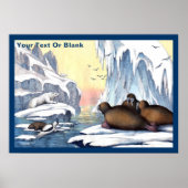 Polaire Beren, walrus en zeehonden Poster (Voorkant)