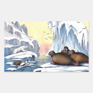 Polaire Beren, walrus en zeehonden Rechthoekige Sticker