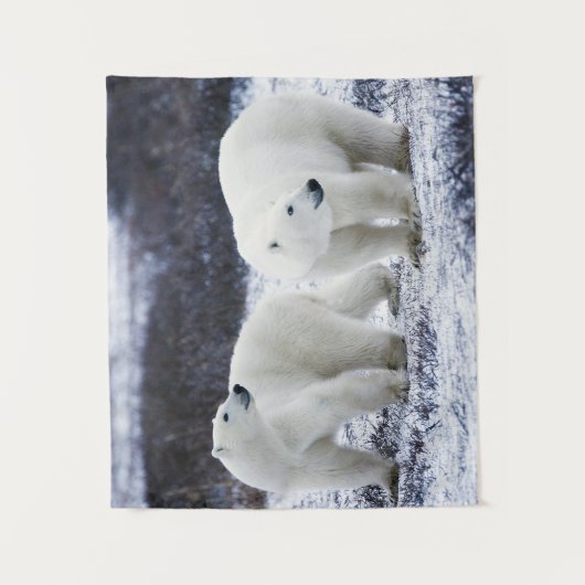 Polaire beren wandkleed (Voorkant)