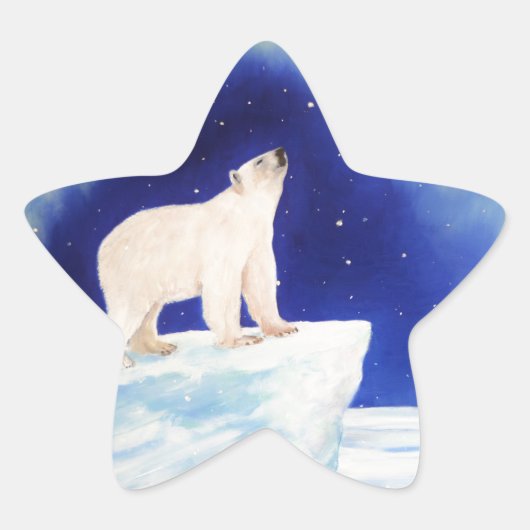Polaire lichten ster sticker (Voorkant)