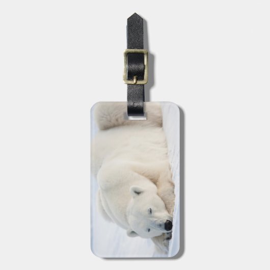 Polar Bear Bagagelabel (Voorkant verticaal)