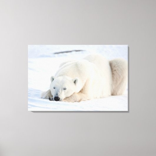 Polar Bear Canvas Afdruk (Voorkant)