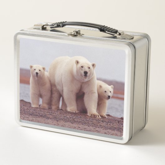 Polar Bear Cute Family Mother and Cubs Photo (Voorkant)