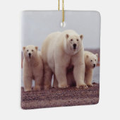 Polar Bear Family Mother and Cubs Photo Keramisch Ornament (Rechts)