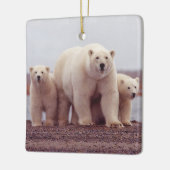 Polar Bear Family Mother and Cubs Photo Keramisch Ornament (Links)