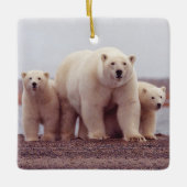 Polar Bear Family Mother and Cubs Photo Keramisch Ornament (Voorkant)