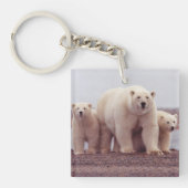 Polar Bear Family Mother and Cubs Photo Sleutelhanger (Voorkant)