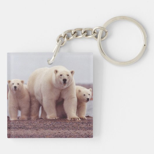 Polar Bear Family Mother and Cubs Photo Sleutelhanger (Achterkant)