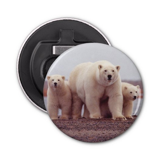 Polar Bear Family Photo Button Flesopener (Voorkant)