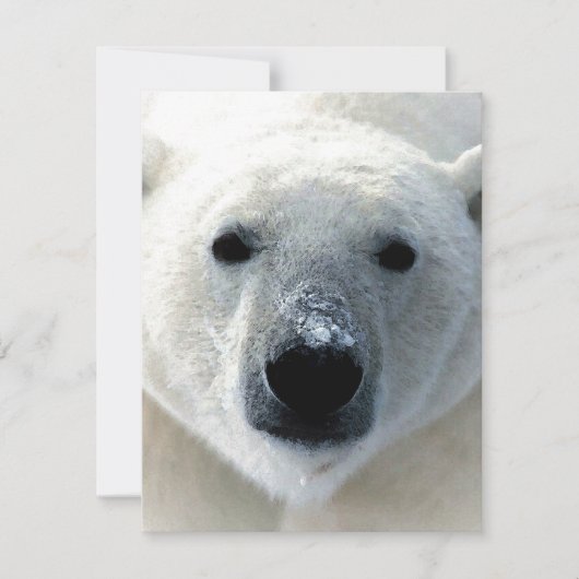 Polar Bear Flat Card (Voorkant)