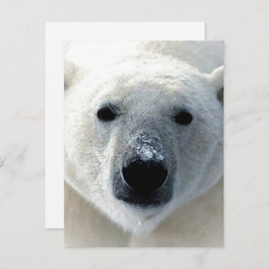 Polar Bear Flat Card (Voorkant / Achterkant)