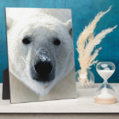 Polar Bear Fotoplaat (Zijkant)