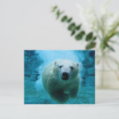 Polar Bear In Water Briefkaart (Staand voorkant)