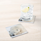 Polar Bear Kartonnen Onderzetters (Insitu)