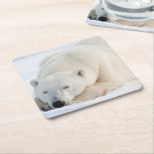 Polar Bear Kartonnen Onderzetters (Schuin)