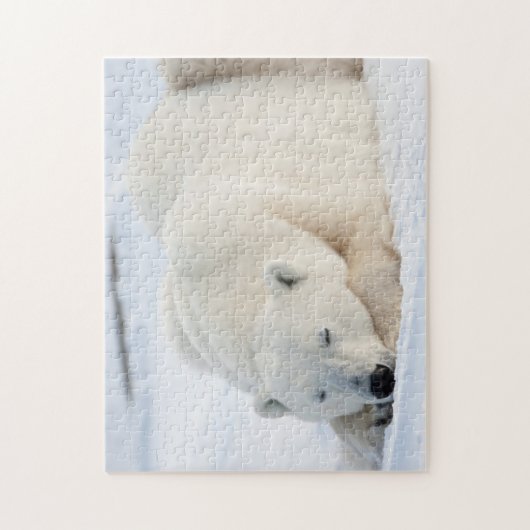 Polar Bear Legpuzzel (Verticaal)